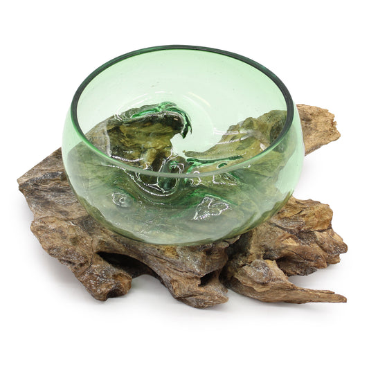 Planten terrarium - Grote Brede Kom op Hout - Cozy Home Store