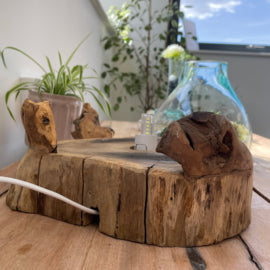 Planten terrarium kopen met verlichting - Cozy Home Store