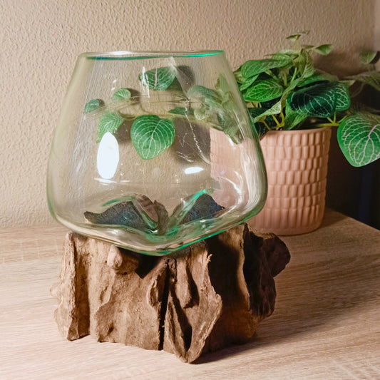 Gesmolten glas op houten stronk - Middelgrote kom - Cozy Home Store