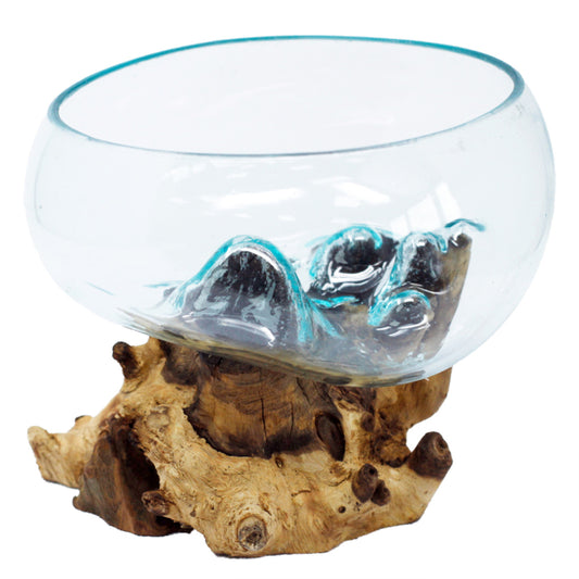 Planten terrarium, Mini-ecosysteem - Open grote kom - Cozy Home Store