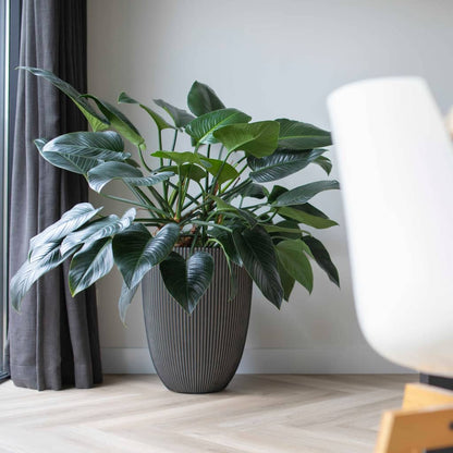 Capi Bloempot Groove Elegant 46X58 Cm Kleurig