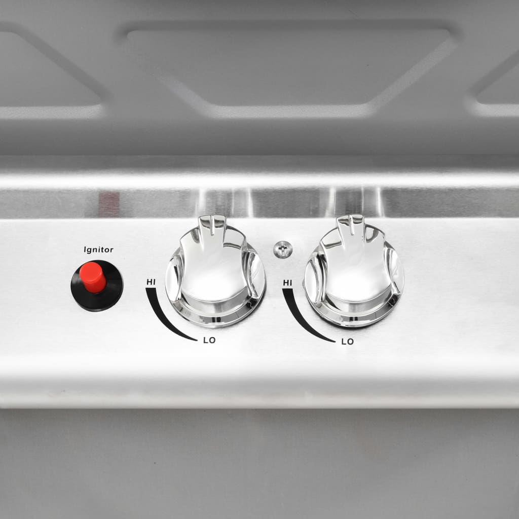 Gasbarbecue En Grill Met 2 Kookzones Roestvrij Staal Zilver